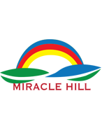 Miracle Hill